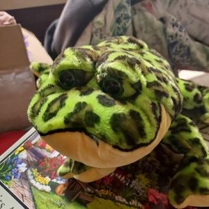 Plush Frog